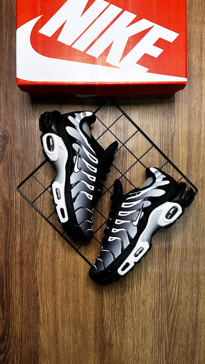 Air max TN - Silver