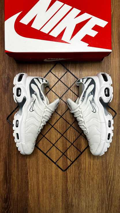 Air max Tn - Branco e Cinza escuro