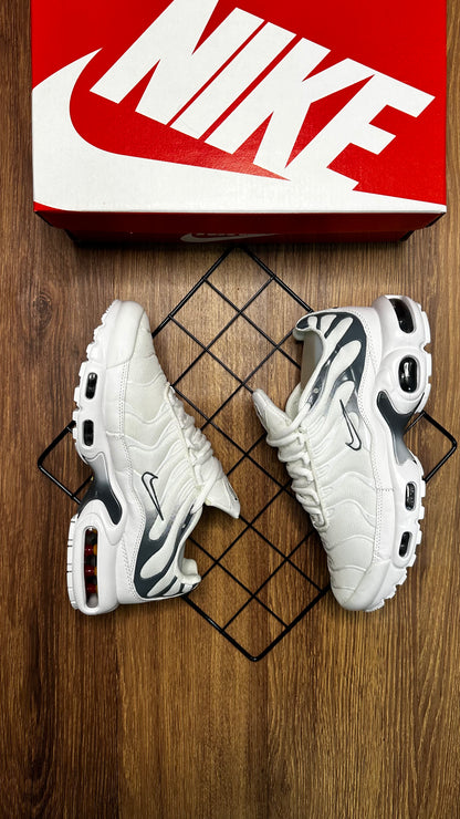 Air max Tn - Branco e Cinza escuro